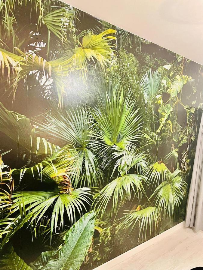 La Saveur Tropicale-Proche Centre Ville-Aeroport Beauvais Exteriér fotografie